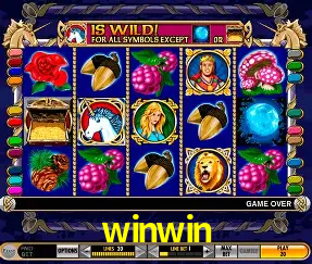 Segurança App winwin